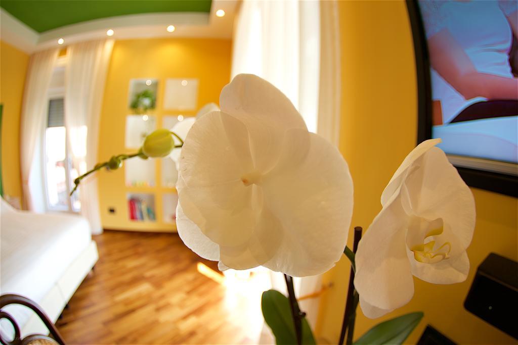 Bed and Breakfast Il Giardino Segreto Sorrento Exteriér fotografie