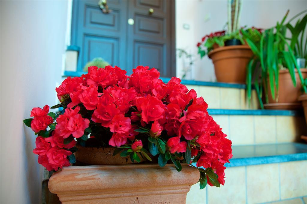 Bed and Breakfast Il Giardino Segreto Sorrento Exteriér fotografie